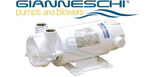 Gianneschi pumps and blowers
